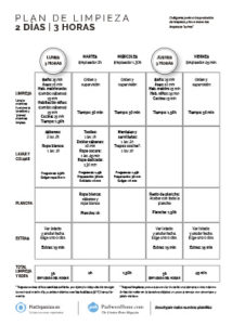Plantilla Organización de las limpiezas: 2 días | 3 horas